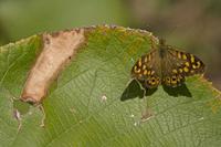 Cjp_2011_10_13_125204.jpg