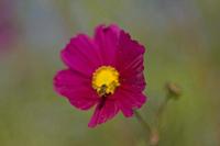 Cjp_2011_10_15_152454.jpg