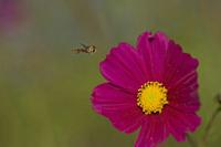 Cjp_2011_10_15_152630.jpg