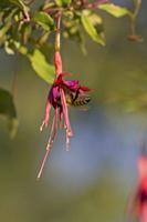 Cjp_2011_10_15_154244.jpg