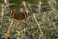 Cjp_2011_10_15_155926.jpg