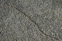 Cjp_2012_02_24_153246.jpg