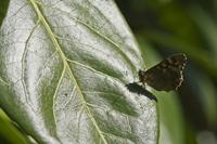 Cjp_2012_03_27_150004.jpg