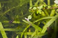 Cjp_2012_06_08_142556.jpg