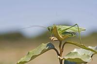 Cjp_2012_07_22_110330.jpg
