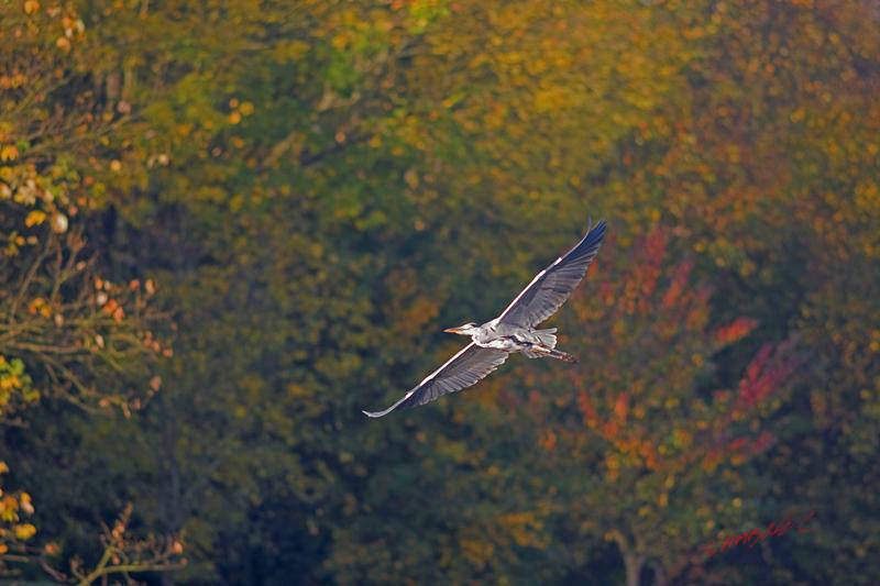 Cjp_2008_10_19_092713_2_R.jpg