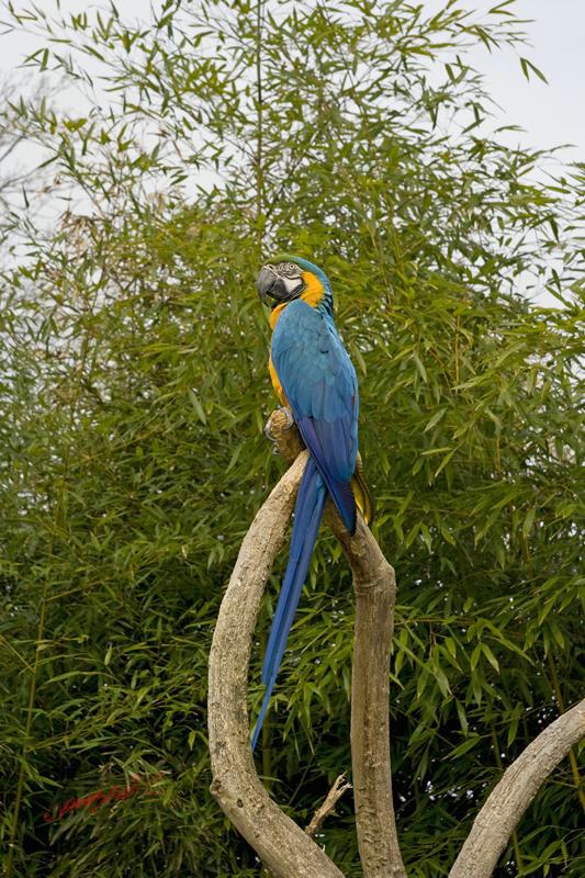 Cjp_2009_02_23_123015.jpg