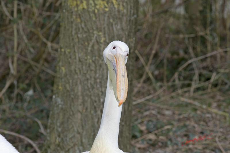 Cjp_2009_02_23_123921.jpg