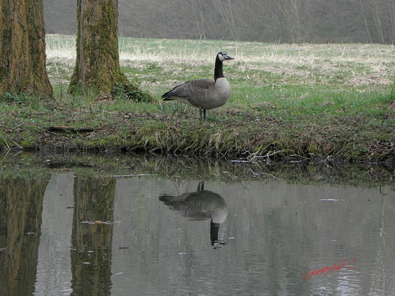 Cjp_2009_04_03_161346_R.jpg