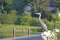 Cjp_2009_06_02_071837.jpg