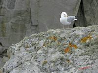 Cjp_2009_07_09_183605.jpg