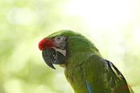 Cjp_2009_07_14_134419.jpg