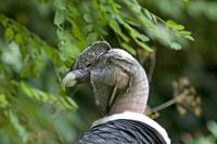 Cjp_2009_07_14_150933.jpg