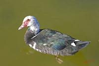 Cjp_2009_09_13_101205.jpg