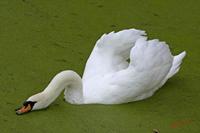 Cjp_2009_10_29_153826.jpg