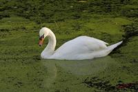 Cjp_2009_10_29_154010.jpg