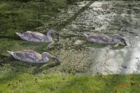 Cjp_2009_10_29_154337.jpg