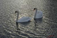 Cjp_2009_10_29_165120.jpg