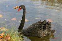 Cjp_2009_11_13_143727.jpg