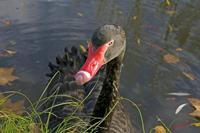 Cjp_2009_11_13_144103.jpg