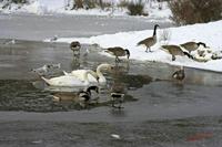 Cjp_2009_12_19_110655.jpg