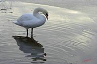 Cjp_2009_12_19_111243.jpg
