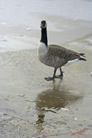 Cjp_2009_12_19_111327.jpg