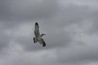 Cjp_2010_07_12_173336.jpg