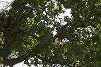 Cjp_2010_07_19_120851.jpg