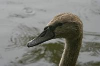 Cjp_2011_07_23_150825.jpg