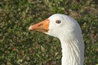 Cjp_2012_02_24_153934.jpg