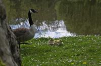 Cjp_2012_05_01_111314.jpg