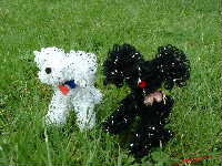 Cjp_2002_0615_095221AA.jpg