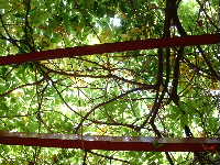 Cjp_2002_0918_120951AA.jpg