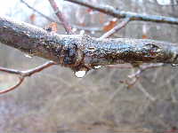 Cjp_2003_0122_173041AA.jpg