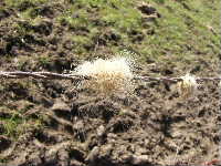 Cjp_2003_0226_125005AA.jpg