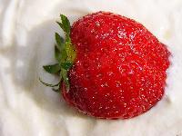 Cjp_2003_06_14_161407.jpg