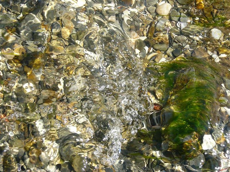 Cjp_2004_07_19_101421 (1).jpg
