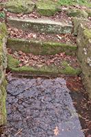 Cjp_2005_01_30_170044.jpg