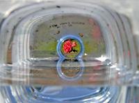 Cjp_2005_06_09_090308.jpg