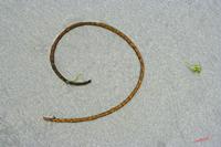 Cjp_2005_08_31_184839.JPG