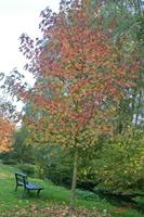 Cjp_2005_10_16_102403_2.jpg