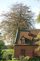 Cjp_2005_10_30_125957_2.jpg
