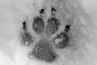 Cjp_2005_11_26_134640_NB.jpg