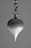 Cjp_2006_02_10_005615_2.jpg