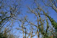 Cjp_2006_02_17_122705_2.jpg