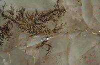 Cjp_2006_07_15_181621_RZ5.jpg