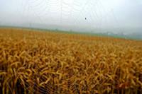 Cjp_2006_07_20_084702_2.jpg