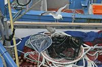 Cjp_2006_07_20_182853.JPG