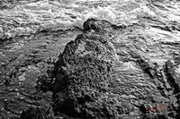 Cjp_2006_07_20_204049_NB.jpg